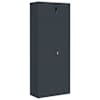 vidaXL dokumendikapp, antratsiithall, 90 x 40 x 220 cm, teras