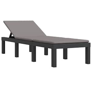 vidaXL p&auml;evitustool koos patjadega, antratsiithall, PP
