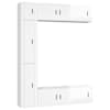 High_gloss_white