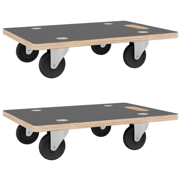 vidaXL transpordik&auml;ru 2 tk, ristk&uuml;liku kuju, 60x40x11,5 cm 250 kg