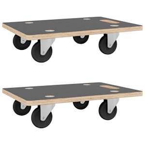 vidaXL transpordik&auml;ru 2 tk, ristk&uuml;liku kuju, 80x55x11,5 cm 250 kg