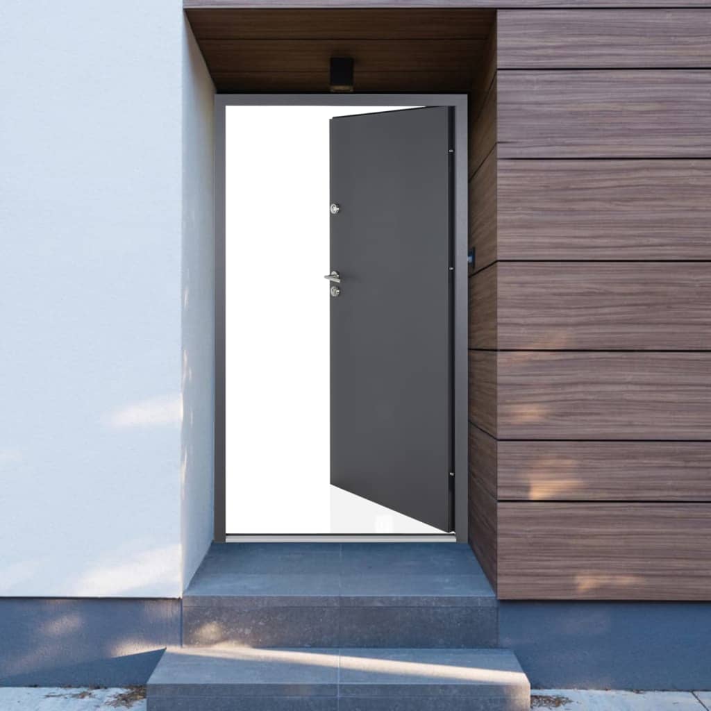 vida XL Haustür Anthrazit 100x 200 cm Aluminium