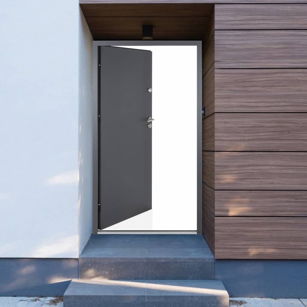 vida XL Haustür Anthrazit 100x 200 cm Aluminium