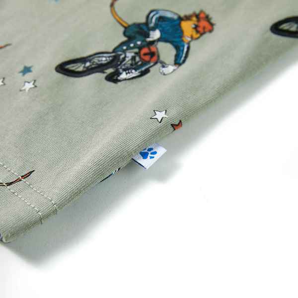Toote pisipilt  8 / 13