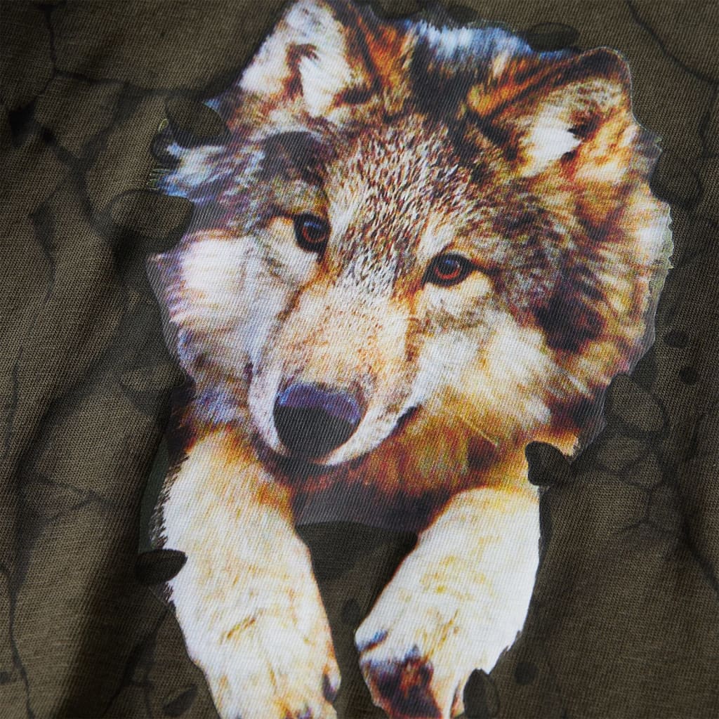 Koszulka dziecięca z długimi rękawami, z wilkiem, khaki, 128