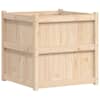 Natural_pine