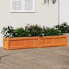 Toote pisipilt  2 / 11