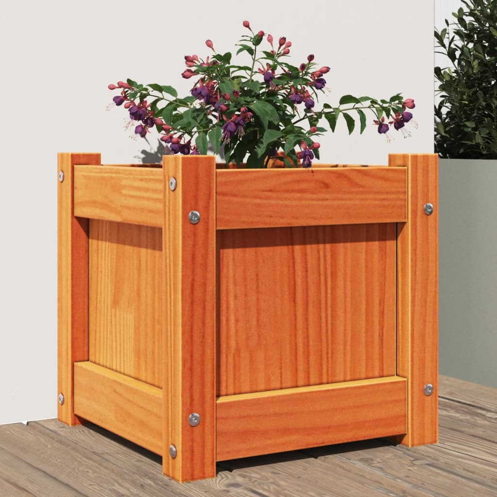 vidaXL plantekasse 31x31x31 cm massivt fyrretræ gyldenbrun