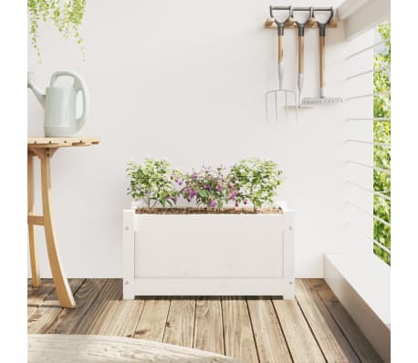 vidaXL Ζαρντινιέρα Λευκή 60 x 31 x 31 εκ. από Μασίφ Ξύλο Πεύκου