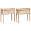 Natural_pine