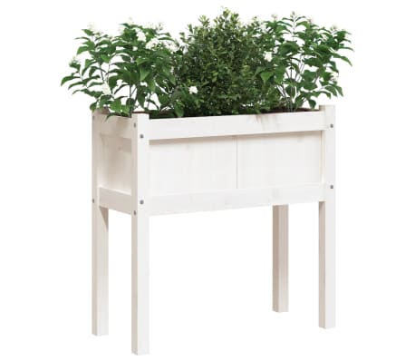 vidaXL Jardiniere de grădină cu picioare 2 buc. alb lemn masiv de pin
