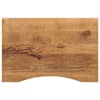 vidaXL kumerusega lauaplaat, 100x60x2,5 cm, t&ouml;&ouml;tlemata mangopuit