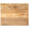 vidaXL lauaplaat, 100x80x3,8 cm, ristk&uuml;lik, mangopuit