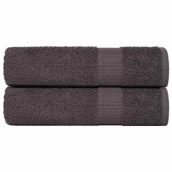 vidaXL k&auml;ter&auml;tikud KONNA 2 tk antratsiitrohelised 50 x 100 cm 360 g/m&sup2;