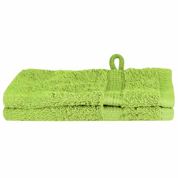 vidaXL K&uuml;lastaja r&auml;tik SOLUND 2 tk Roheline 15 x 21 cm 550 gsm