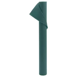 vidaXL taime fliiskate, 70 g/m&sup2;, 10x1,6 m