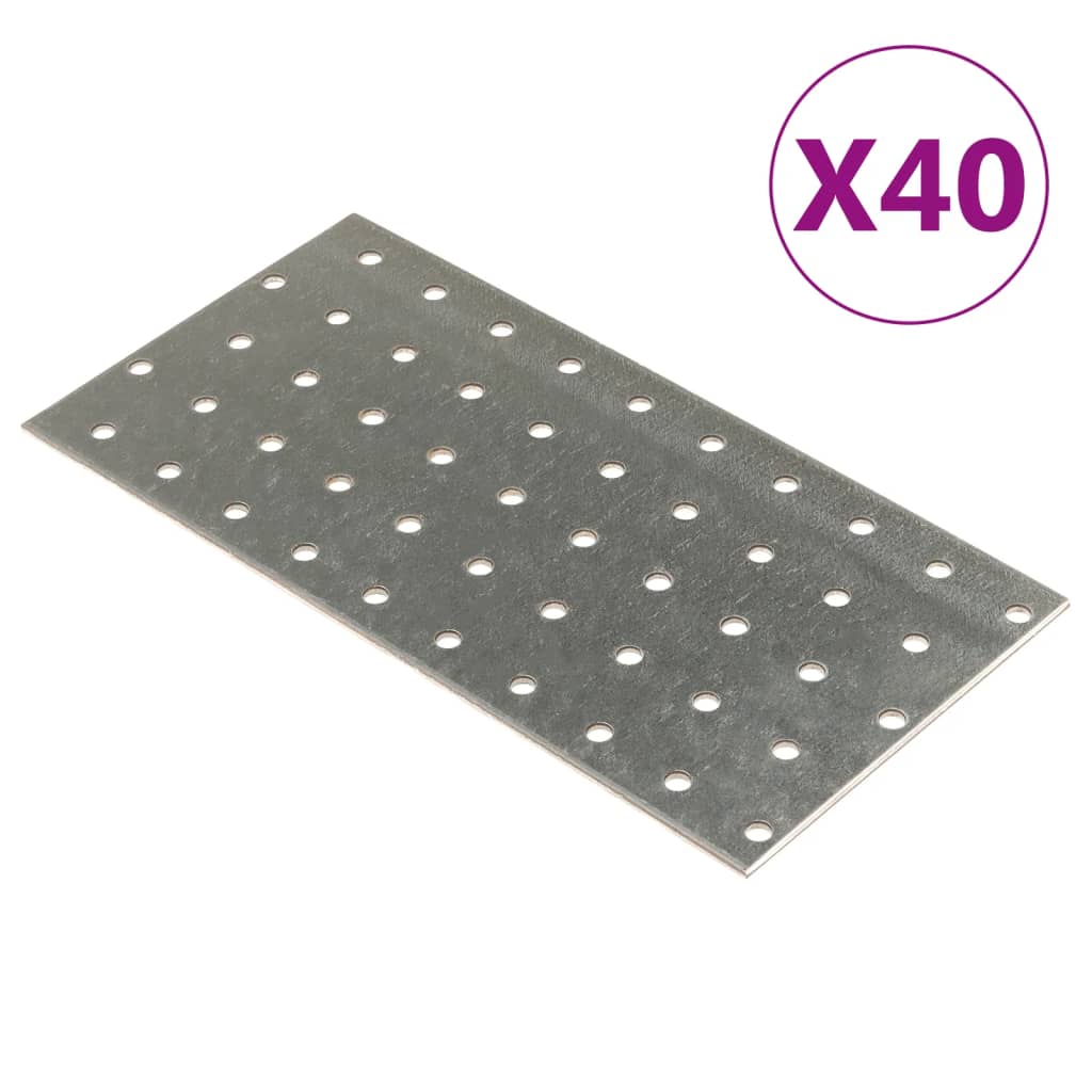 vidaXL Plăci perforate, 40 buc., 2 mm, 200x100 mm, oțel galvanizat