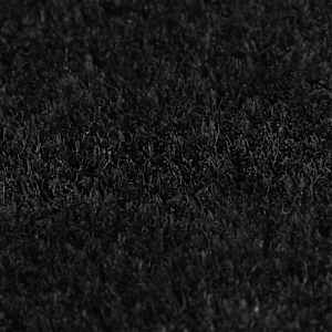 vidaXL Fu&szlig;matte Schwarz 40x60 cm Kokosfaser Getuftet