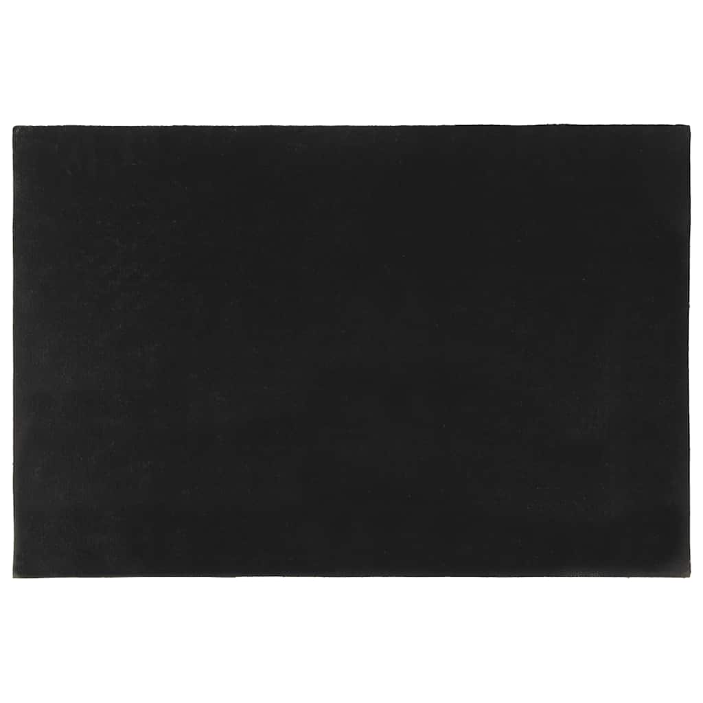 vidaXL Deurmat 60x90 cm getufte kokosvezel zwart, foto 2