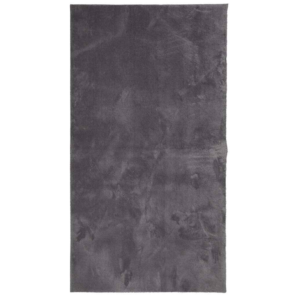 vidaXL Vloerkleed laagpolig zacht en wasbaar 60x110 cm antracietkleur