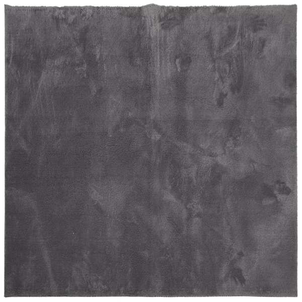 vidaXL vaip HUARTE, l&uuml;hikese narmaga, pestav, antratsiit, 160 x 160 cm