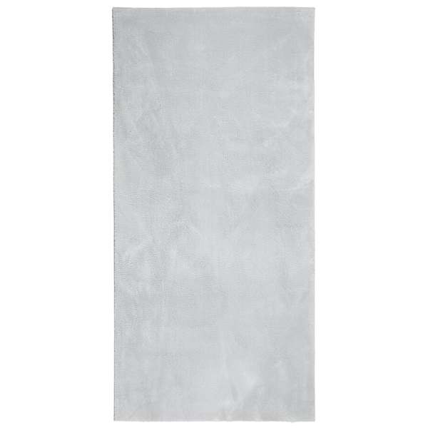 vidaXL vaip HUARTE, l&uuml;hikese narmaga, pestav, hall, 100x200 cm