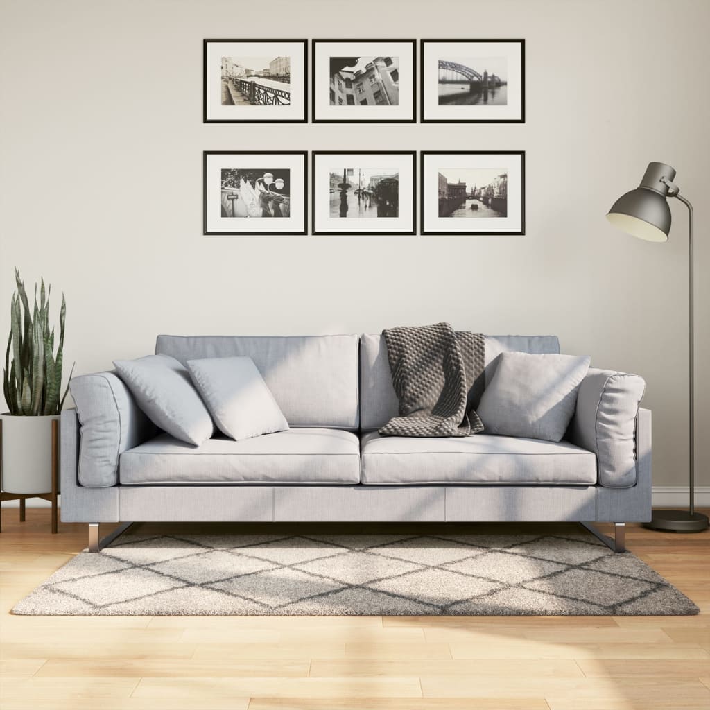 vidaXL Covor pufos cu fire înalte, bej și antracit modern, 80x150 cm