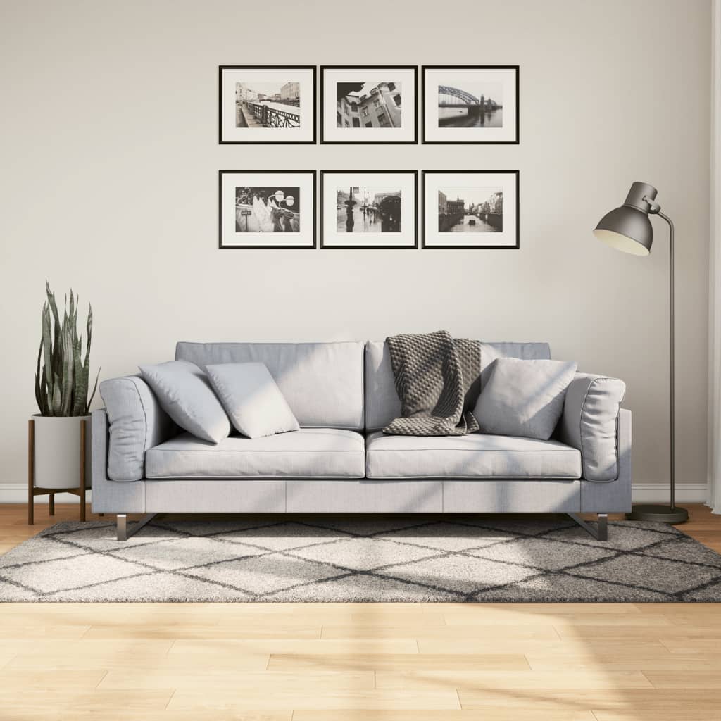 vidaXL Covor pufos cu fire înalte, bej și antracit modern, 100x200 cm