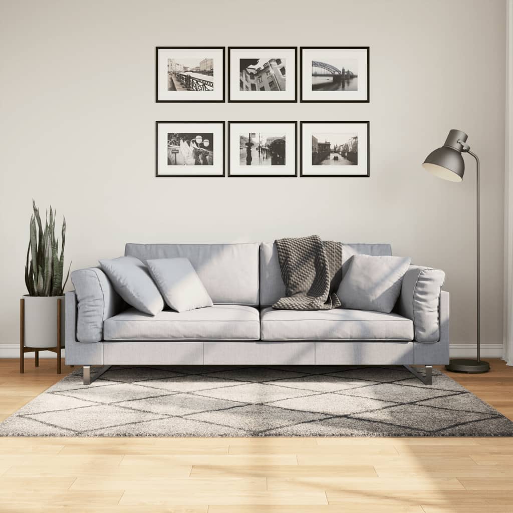 vidaXL Covor pufos cu fire înalte, bej și antracit modern, 120x170 cm