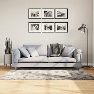 Koberec PAMPLONA s vysokým vlasem béžový a antracit 120x170 cm - obrázek 1