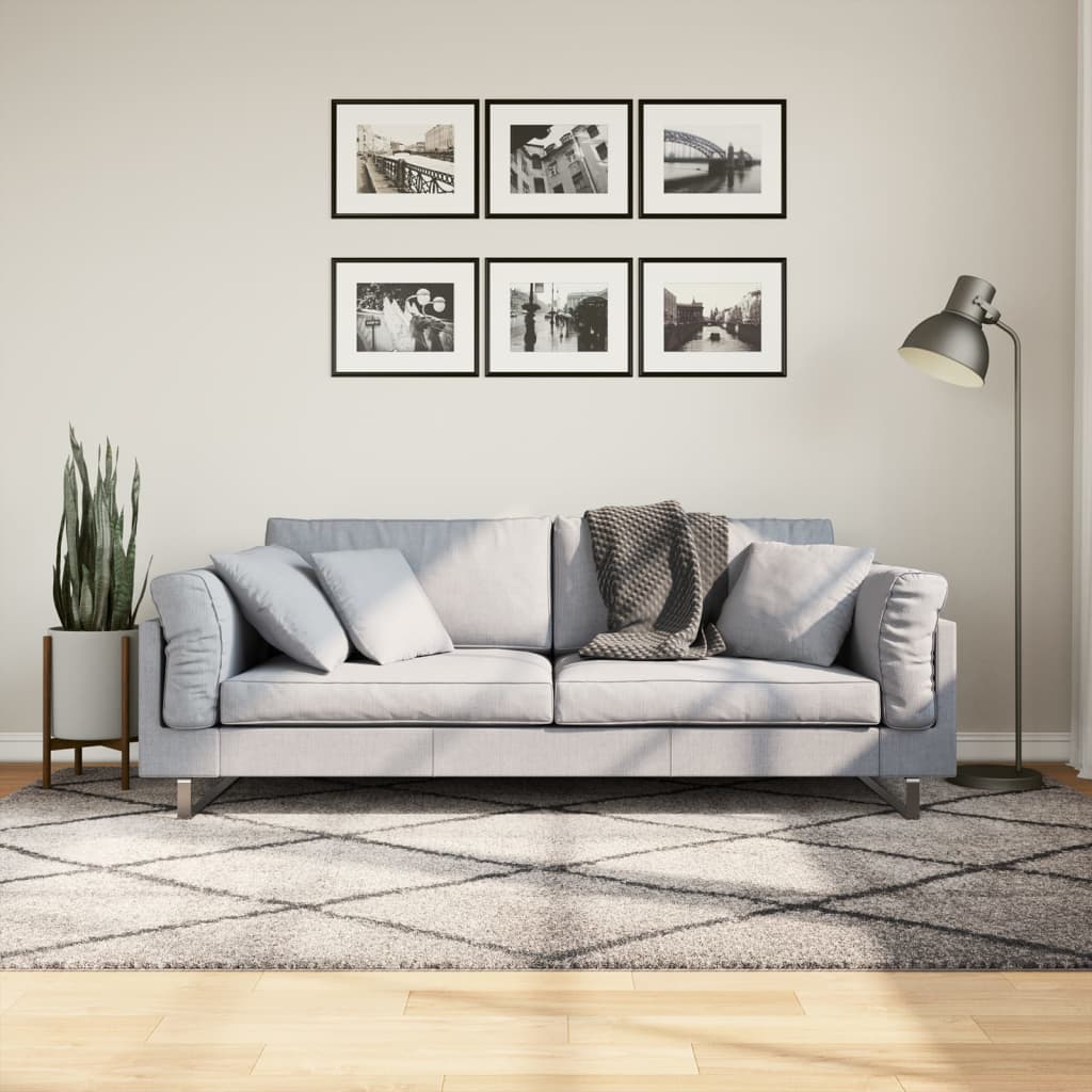 vidaXL Covor pufos cu fire înalte, bej și antracit modern, 160x230 cm