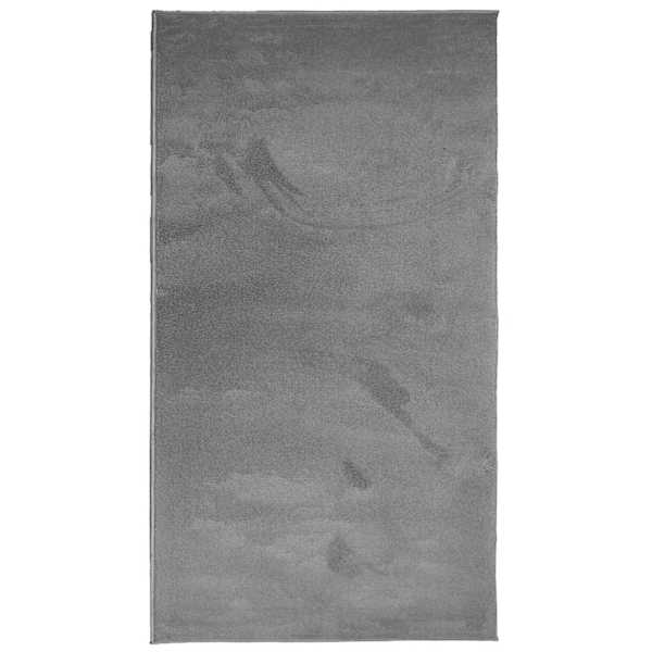 vidaXL Vaip "OVIEDO" l&uuml;hikese narmaga antratsiit 60x110 cm