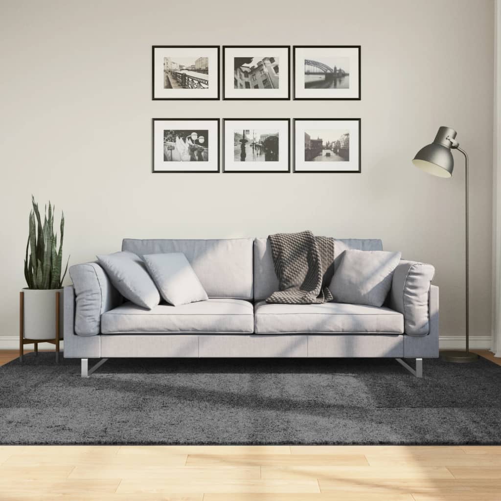 vidaXL Covor „OVIEDO”, fire scurte, antracit, 160x230 cm