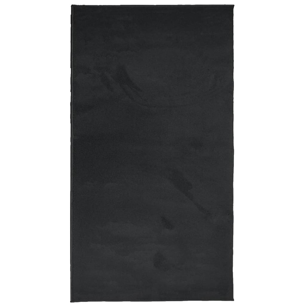 vidaXL Koberec OVIEDO krátký vlas černý 60 x 110 cm
