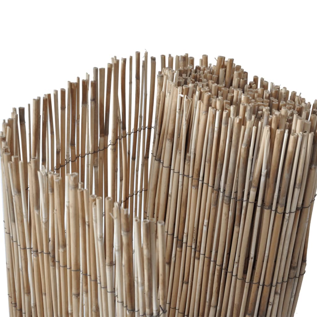 vidaXL nád kerti kerítés 500 x 80 cm