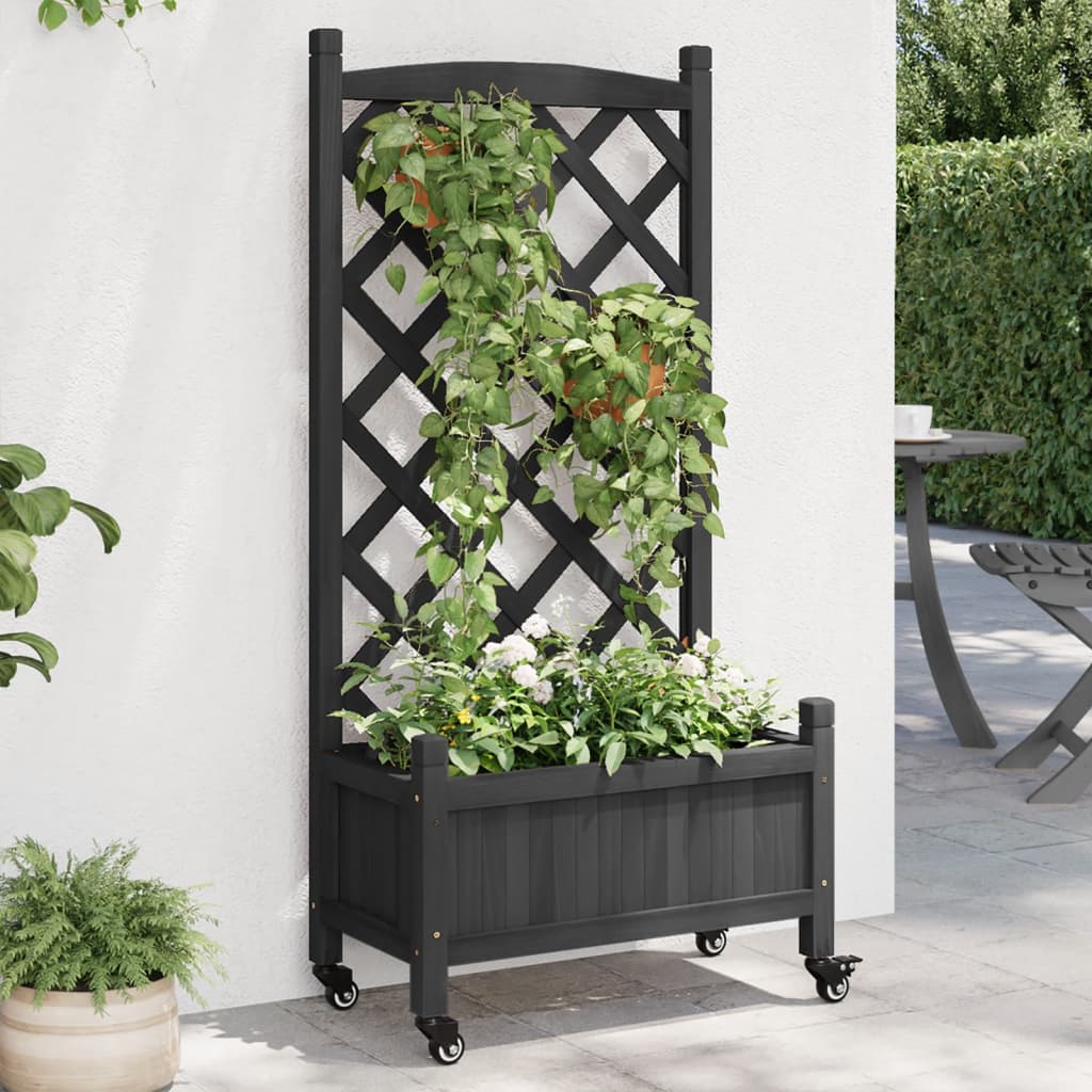 Plantekasse Massivt Grantræ Sort - med espalier og hjul / 55 x 29.5 x 117.5 cm