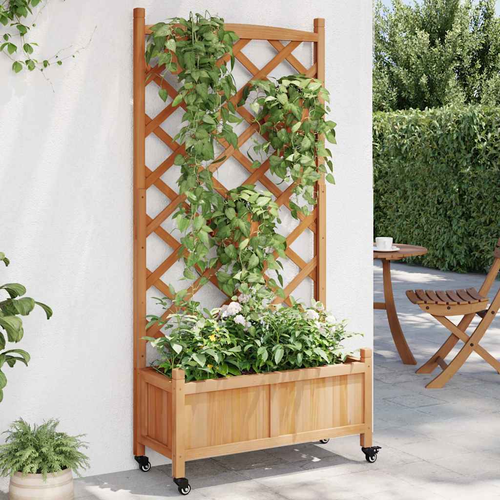 vidaXL plantekasse med espalier og hjul massivt fyrretræ brun