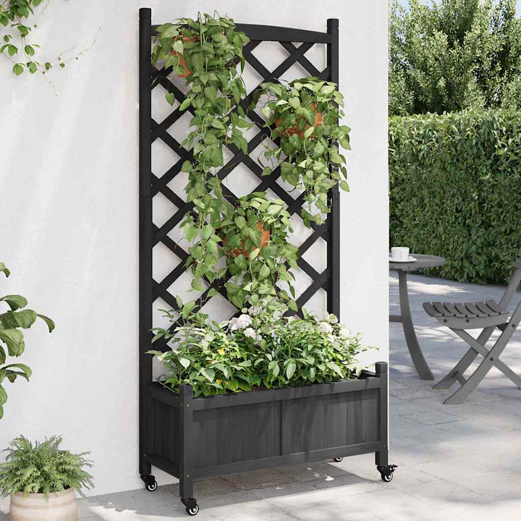 vidaXL plantekasse med espalier og hjul massivt fyrretræ sort