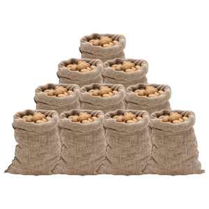 Jutové pytle 10 ks 60 x 105 cm 100% juta 220 g/m² - obrázek 1