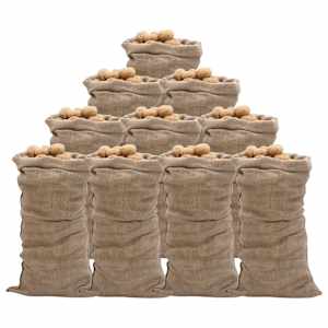 Jutové pytle 10 ks 65 x 135 cm 100% juta 220 g/m² - obrázek 1
