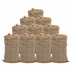 Jutové pytle 10 ks 65 x 135 cm 100% juta 340 g/m² - obrázek 1