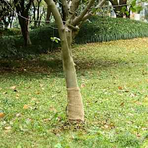 Jutová role 0,25 x 5 m 100% juta 200 g/m² - obrázek 1