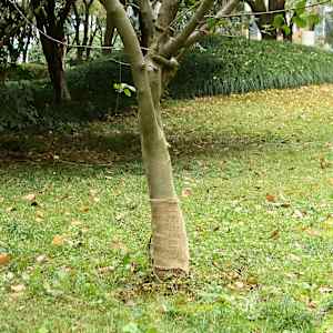Jutová role 0,25 x 10 m 100% juta 200 g/m² - obrázek 1