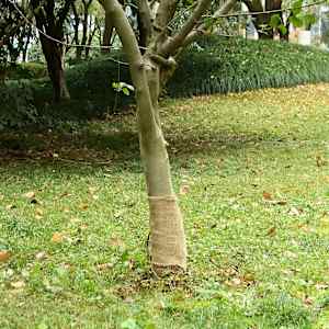 Jutová role 0,25 x 15 m 100% juta 200 g/m² - obrázek 1