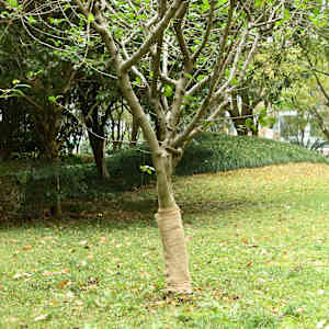 Juta v roli 0,5 x 5 m 100 % juta 200 g/m²