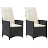 Black_and_cream