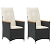 Black_and_cream