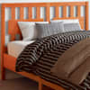 Wax_brown