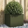 Olive_green