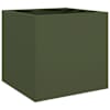 Olive_green